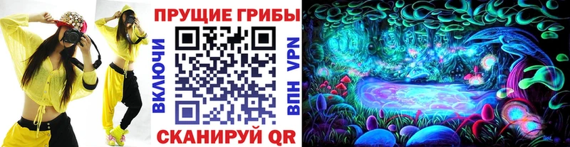 сколько стоит  Большой Камень  Псилоцибиновые грибы ЛСД 
