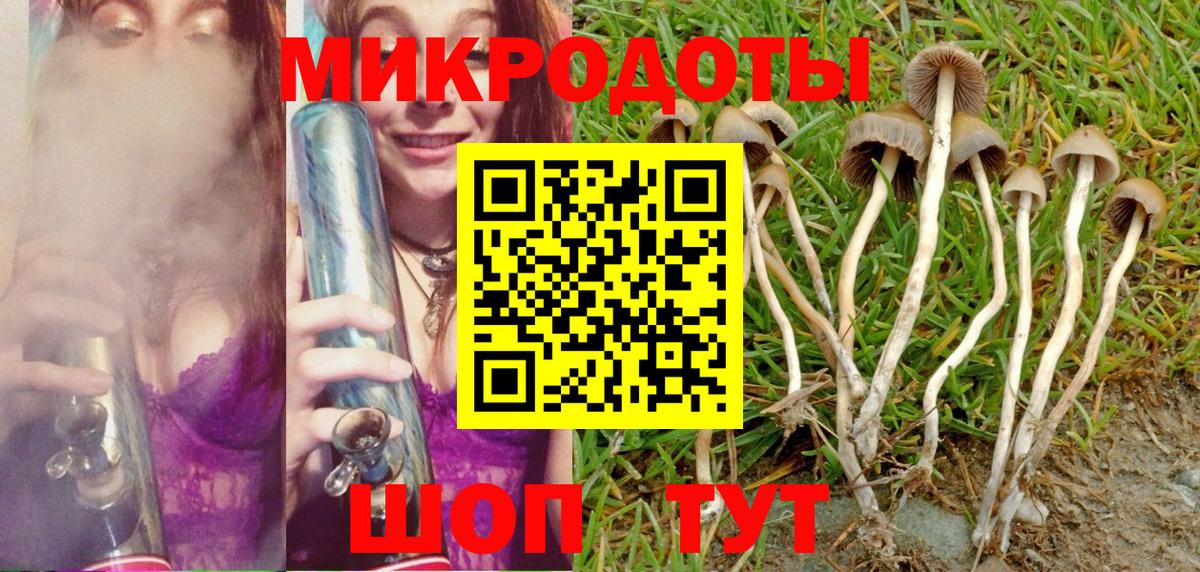 Псилоцибиновые грибы MAGIC MUSHROOMS Большой Камень