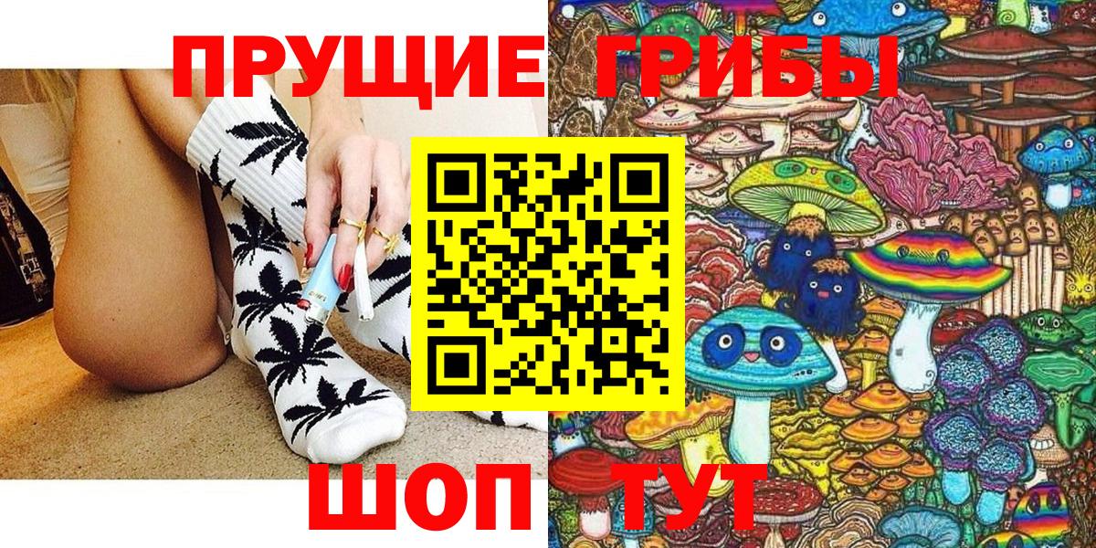 Галлюциногенные грибы прущие грибы  Вход с VPN  Большой Камень 