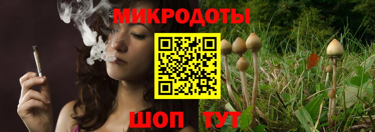 Купить наркотик  Канабис  Вход с VPN  Метамфетамин  МДМА  ЭКСТАЗИ  Гашиш  КОКАИН  Большой Камень  ГАШ  Меф МЯУ МЯУ  